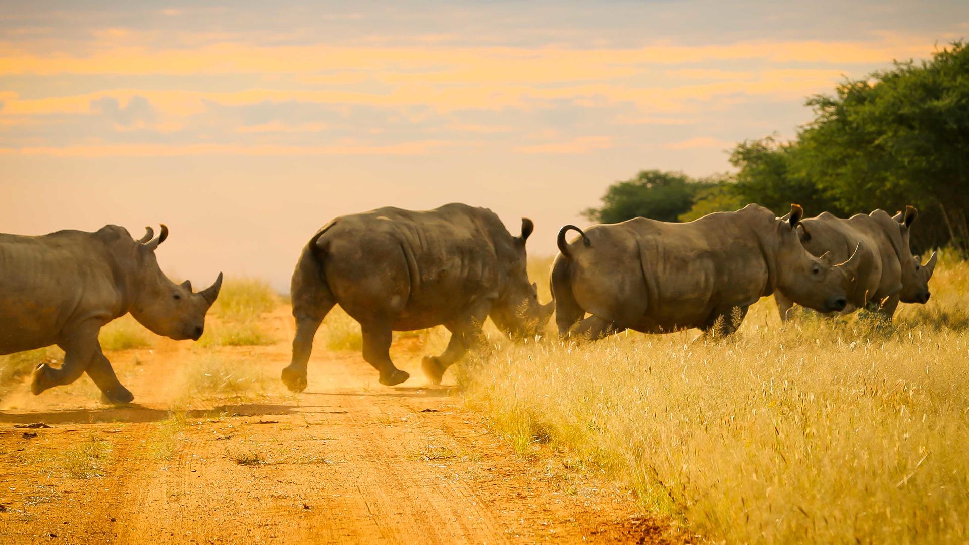 Otjiwa Reserve