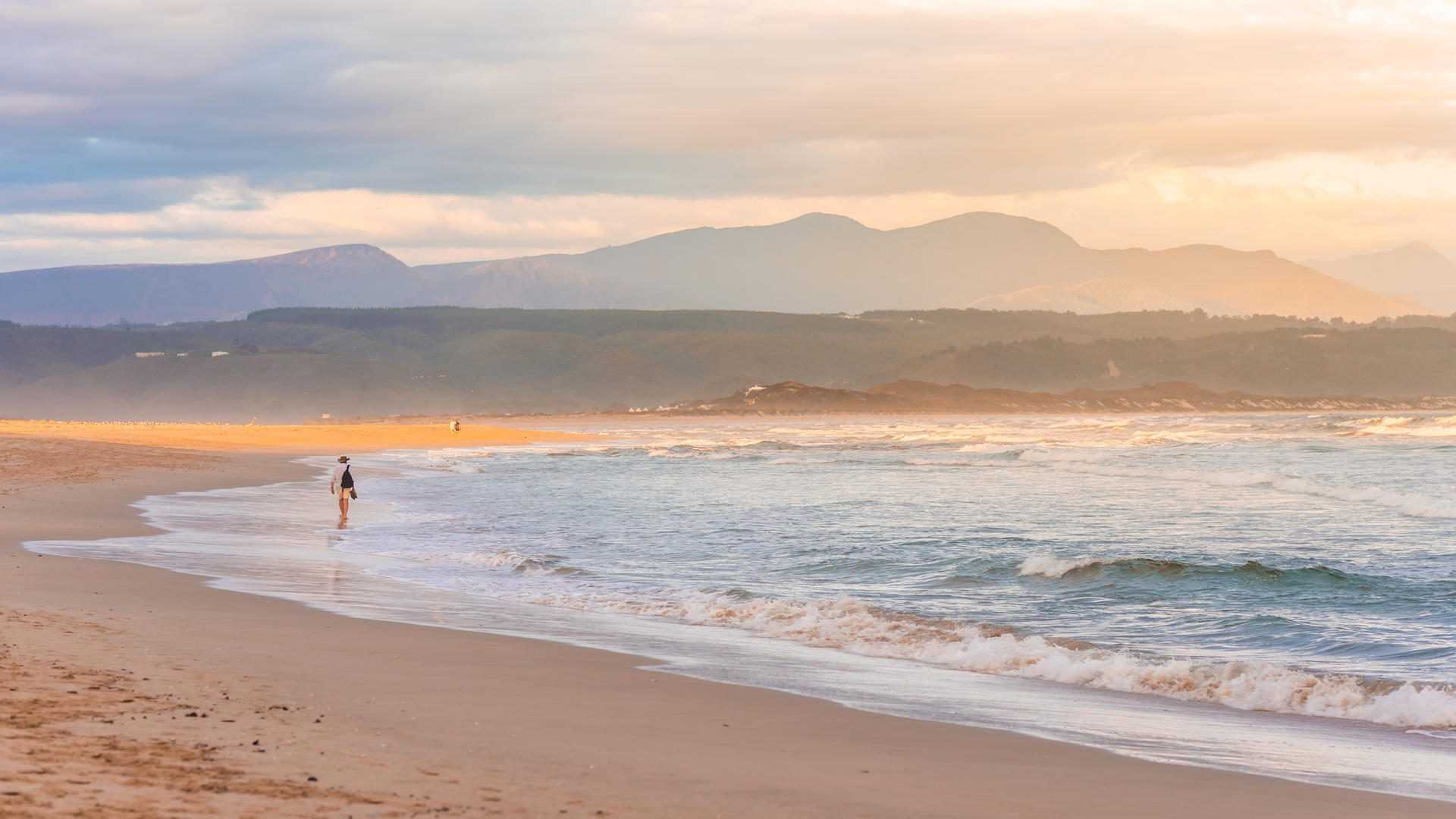 https://wetu.com/imageHandler/c1920x1080/445/plettenberg_bay-shutterstock-1542908939.jpg?fmt=jpg