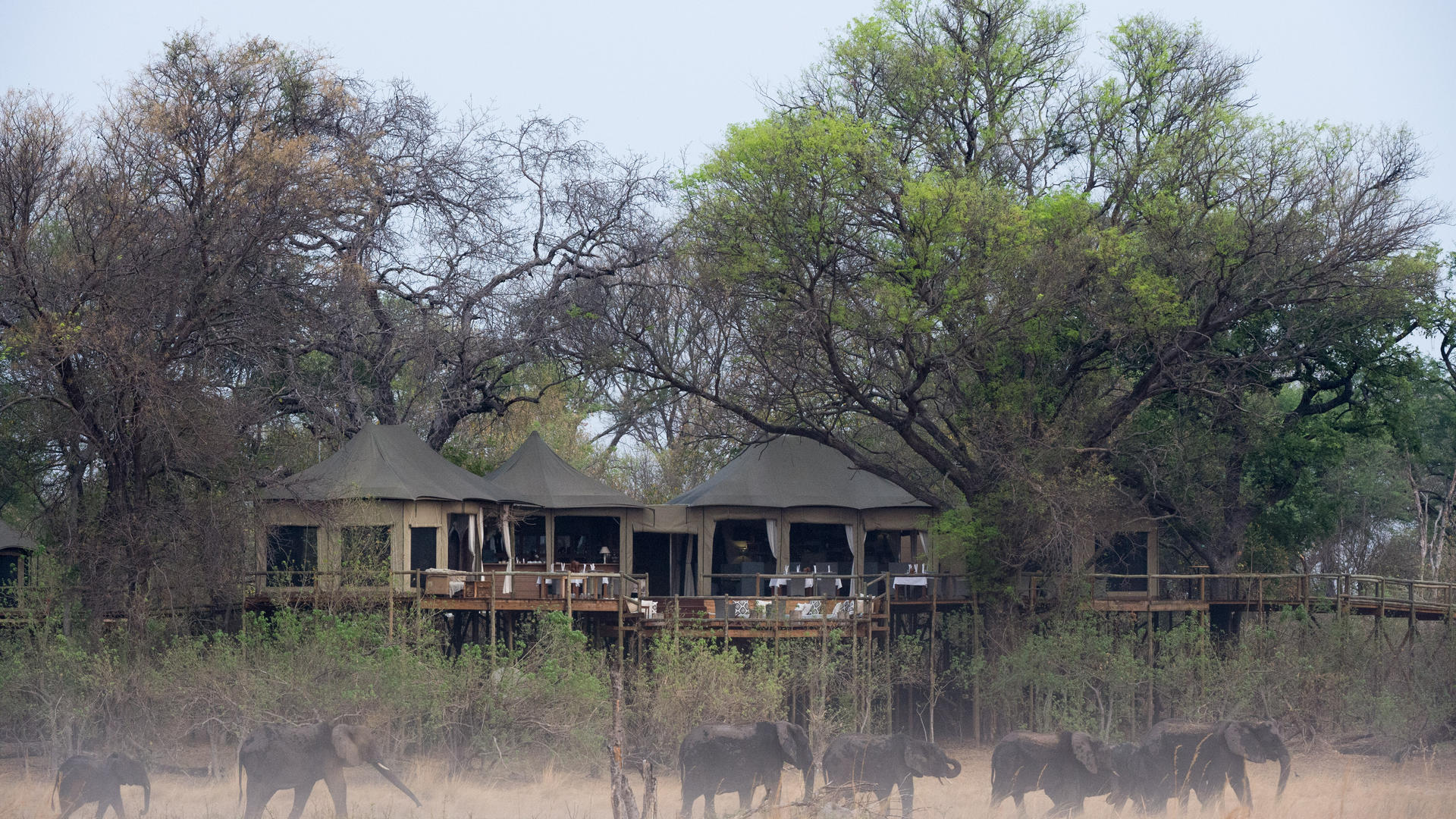 Nambwa Tented Lodge