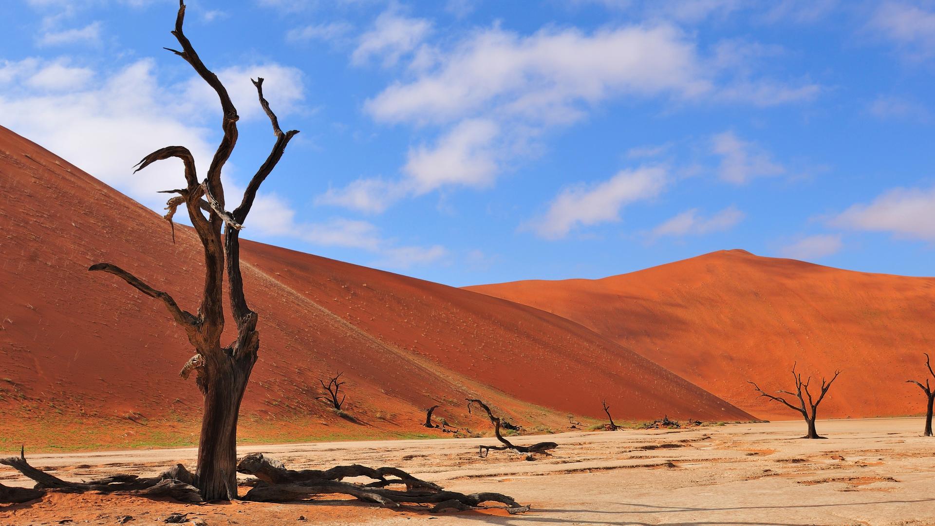 Sossusvlei Dunes