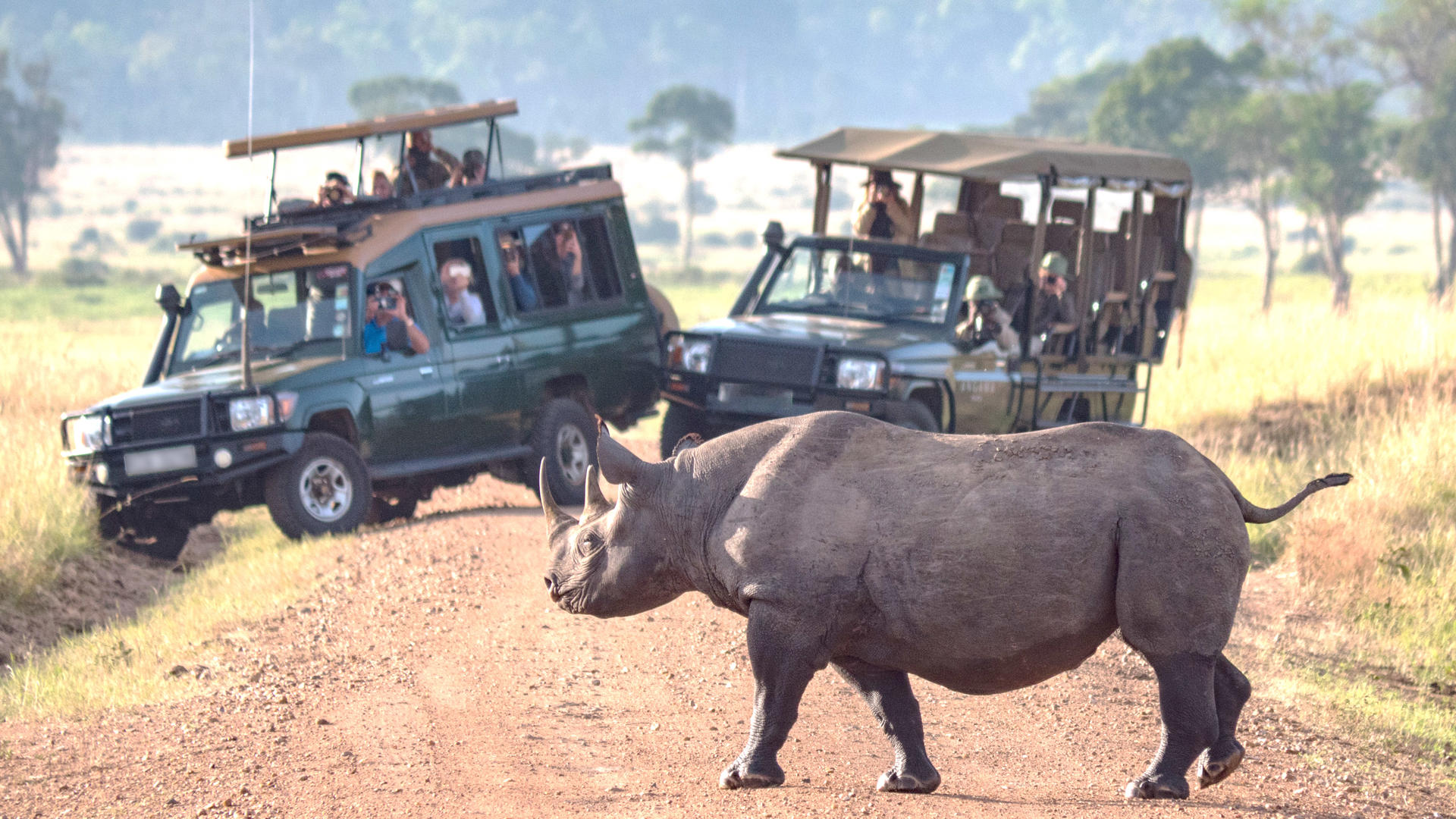 Etosha National Park