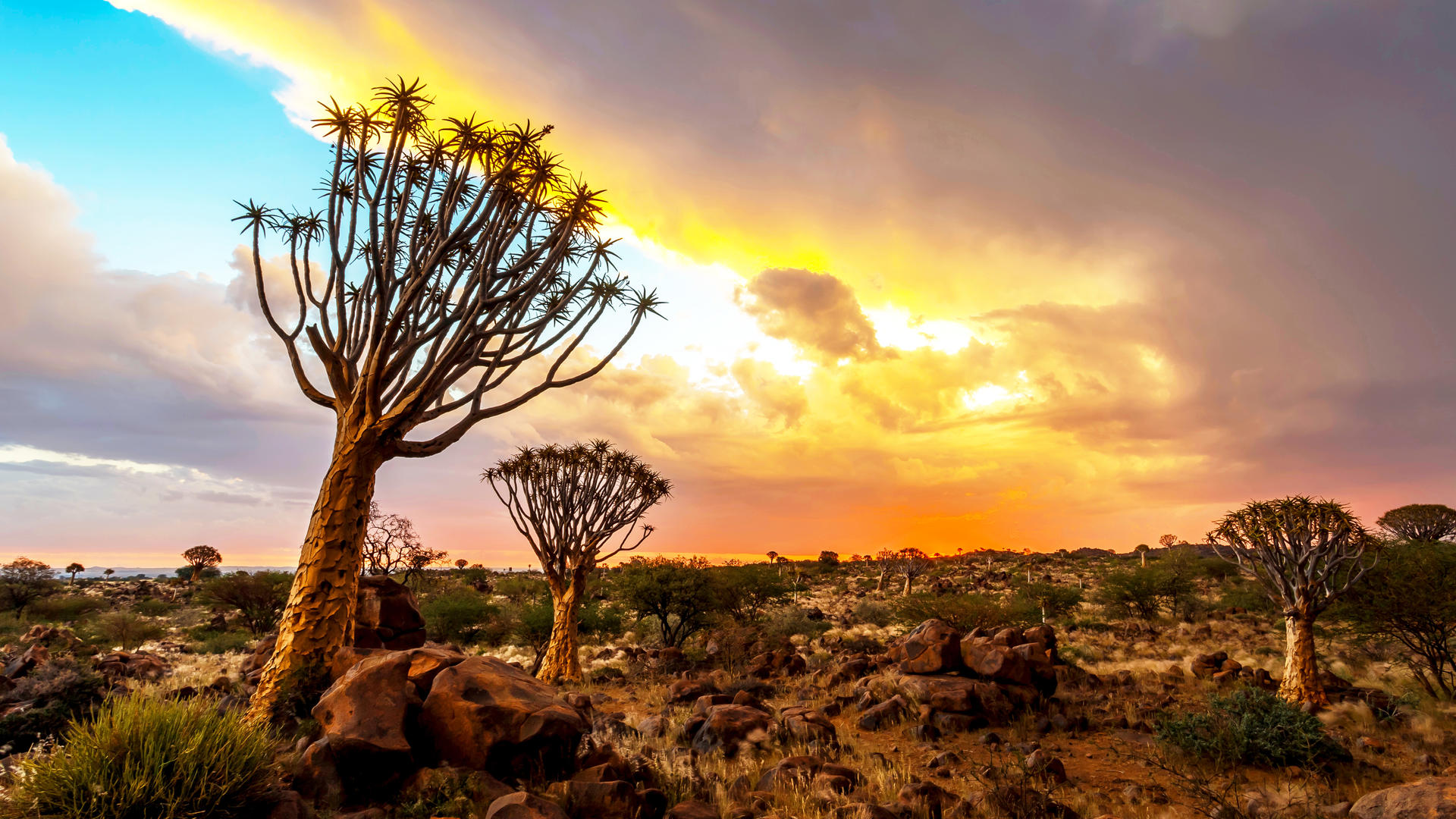 Klein-Aus Vista Eagle's Nest Chalets Gondwana Collection Namibia view 3