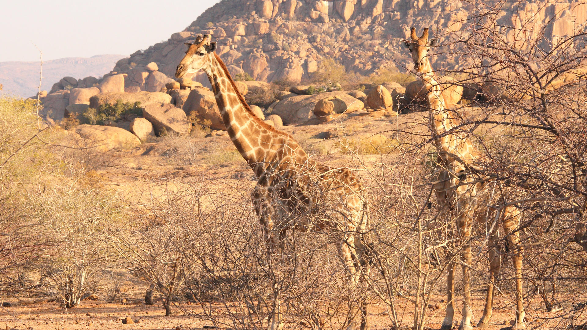 Camp Kipwe — view 8