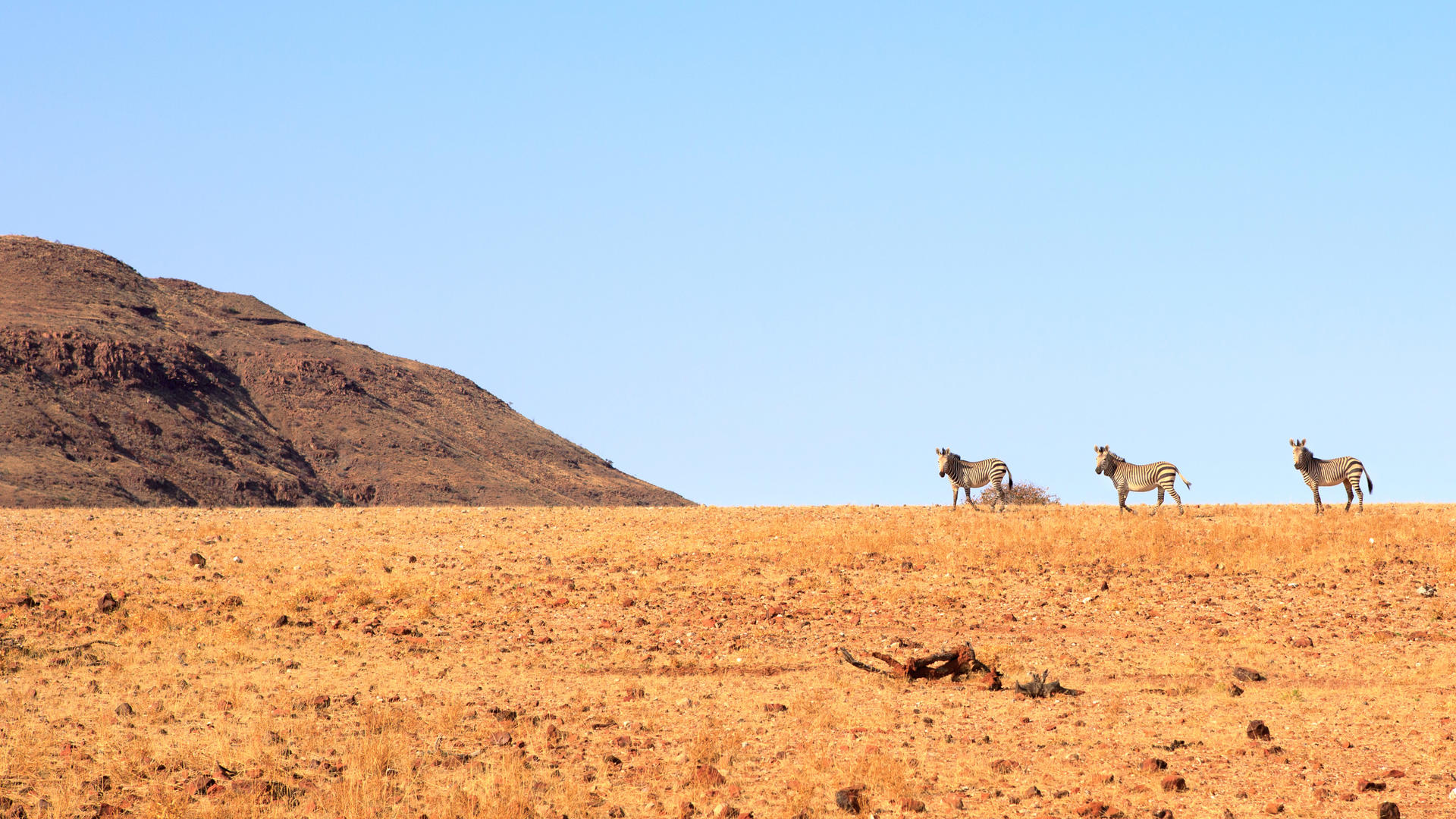 Camp Kipwe — view 6