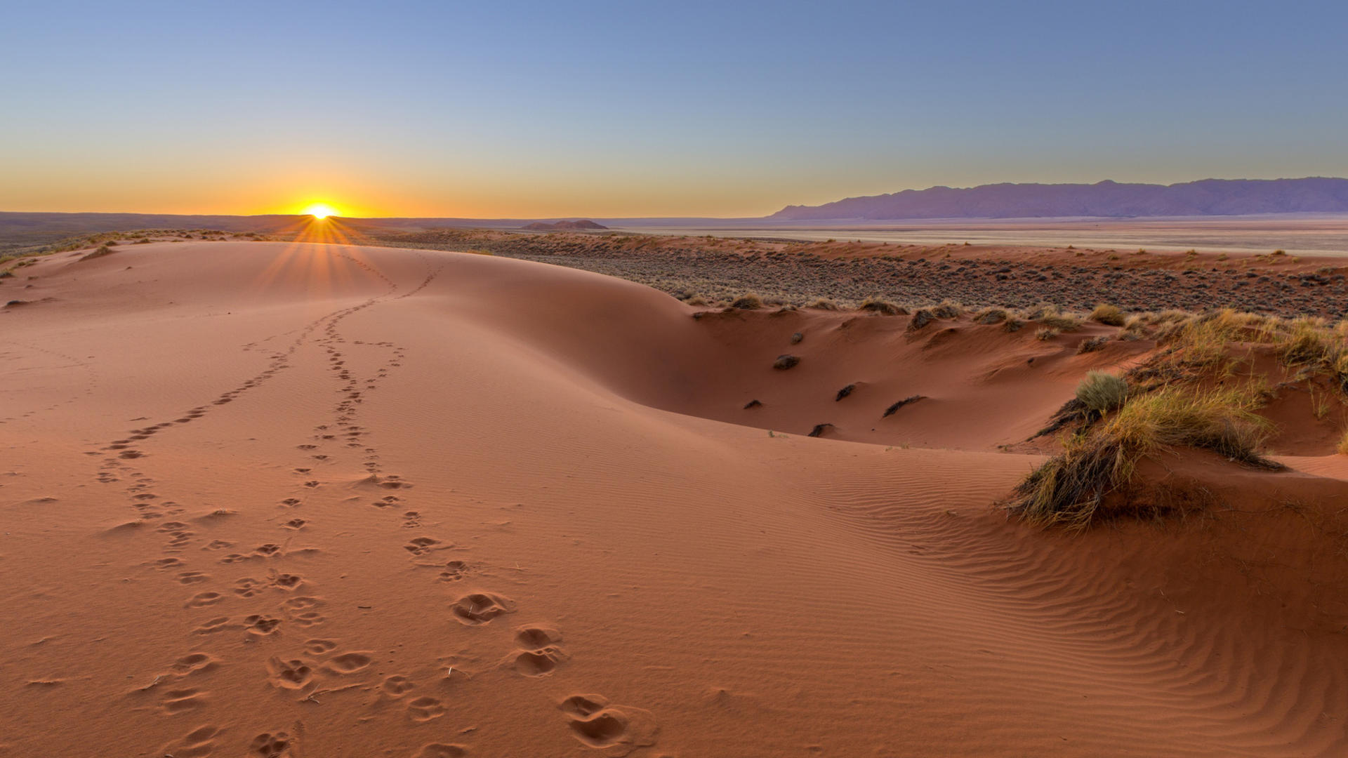 Kalahari Red Dunes Lodge — view 12