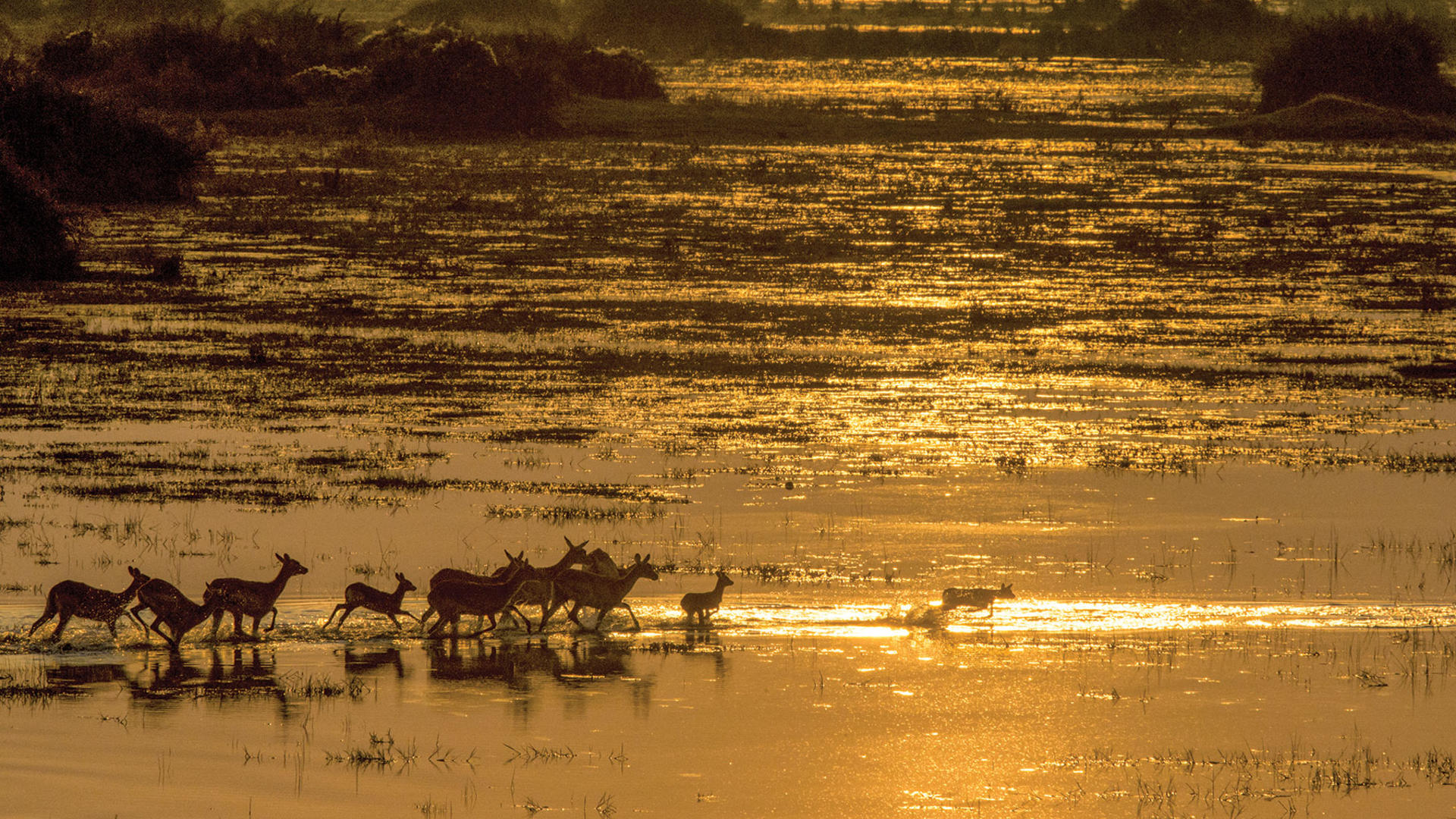 Duba Explorers Camp