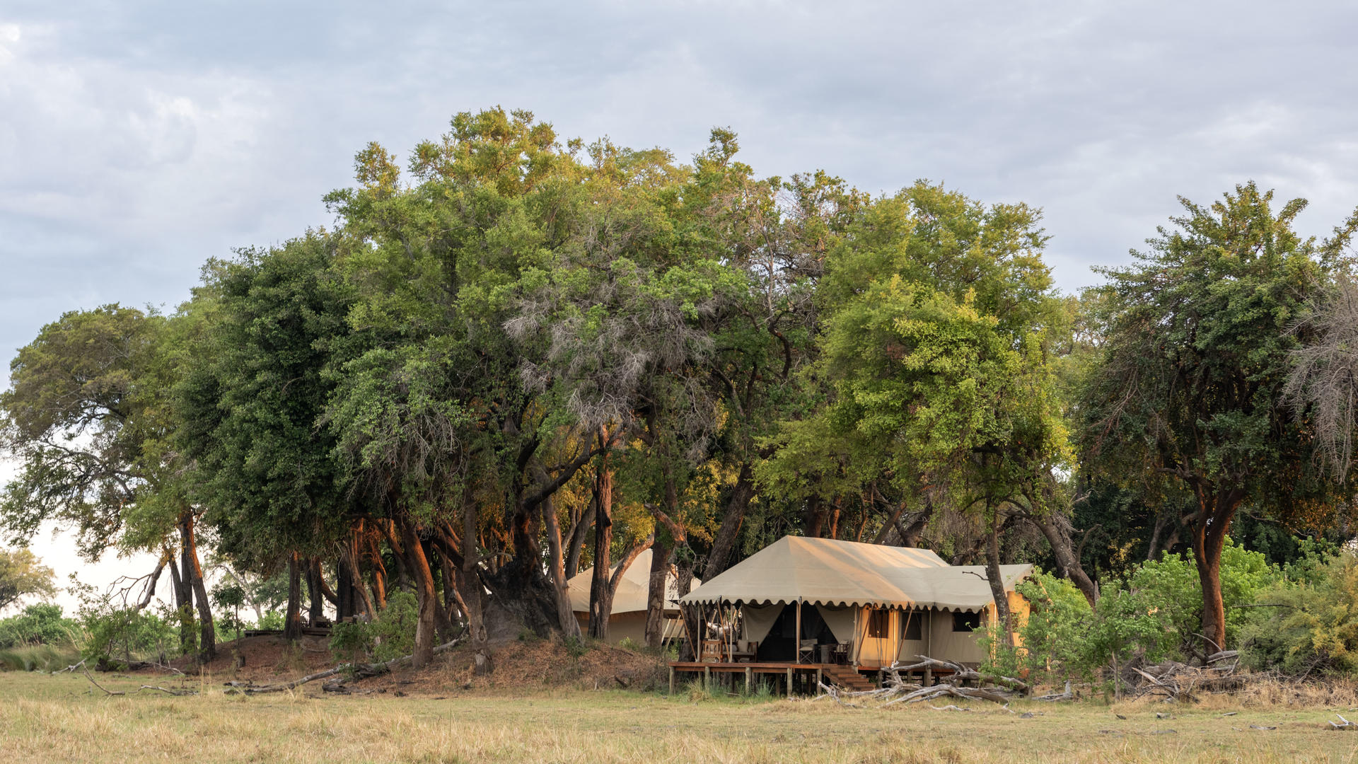 Duba Explorers Camp