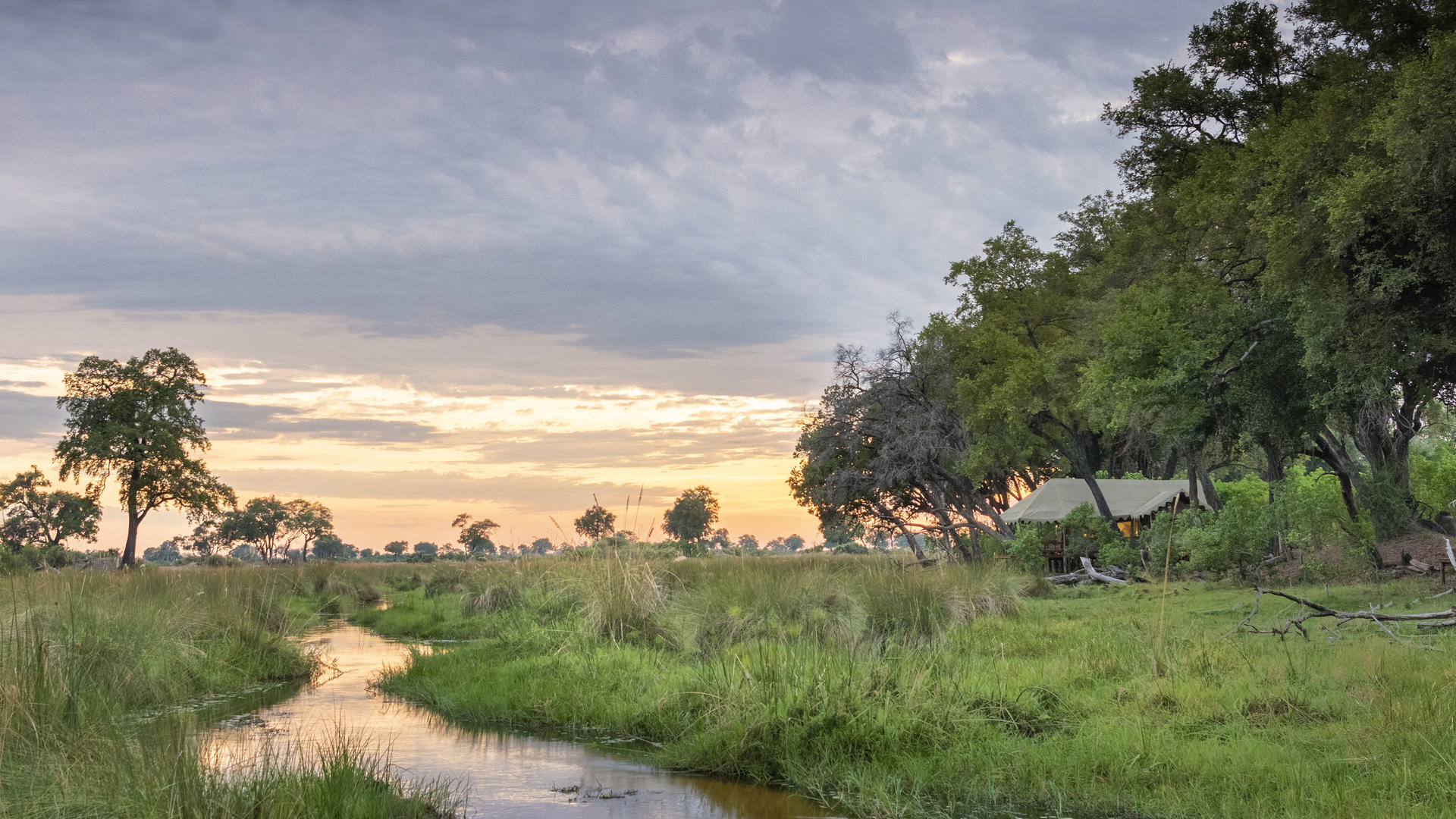 Duba Explorers Camp