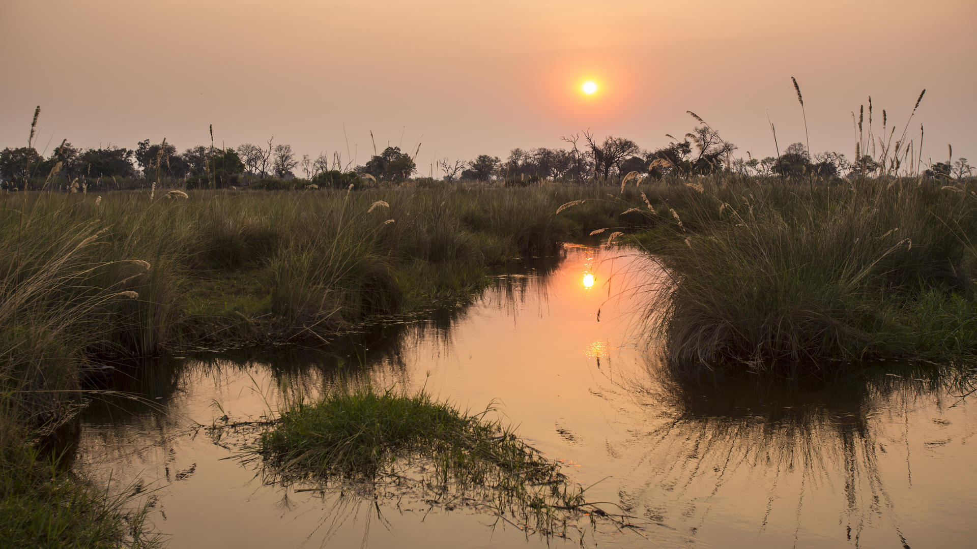 Duba Explorers Camp