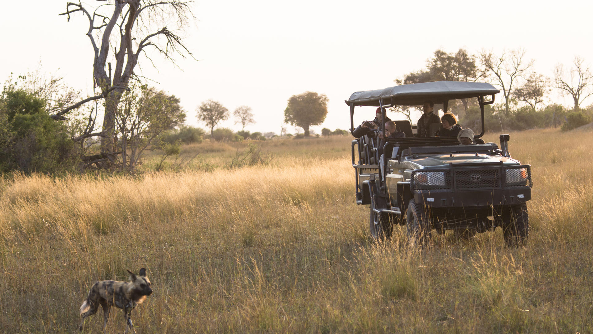 Duba Explorers Camp