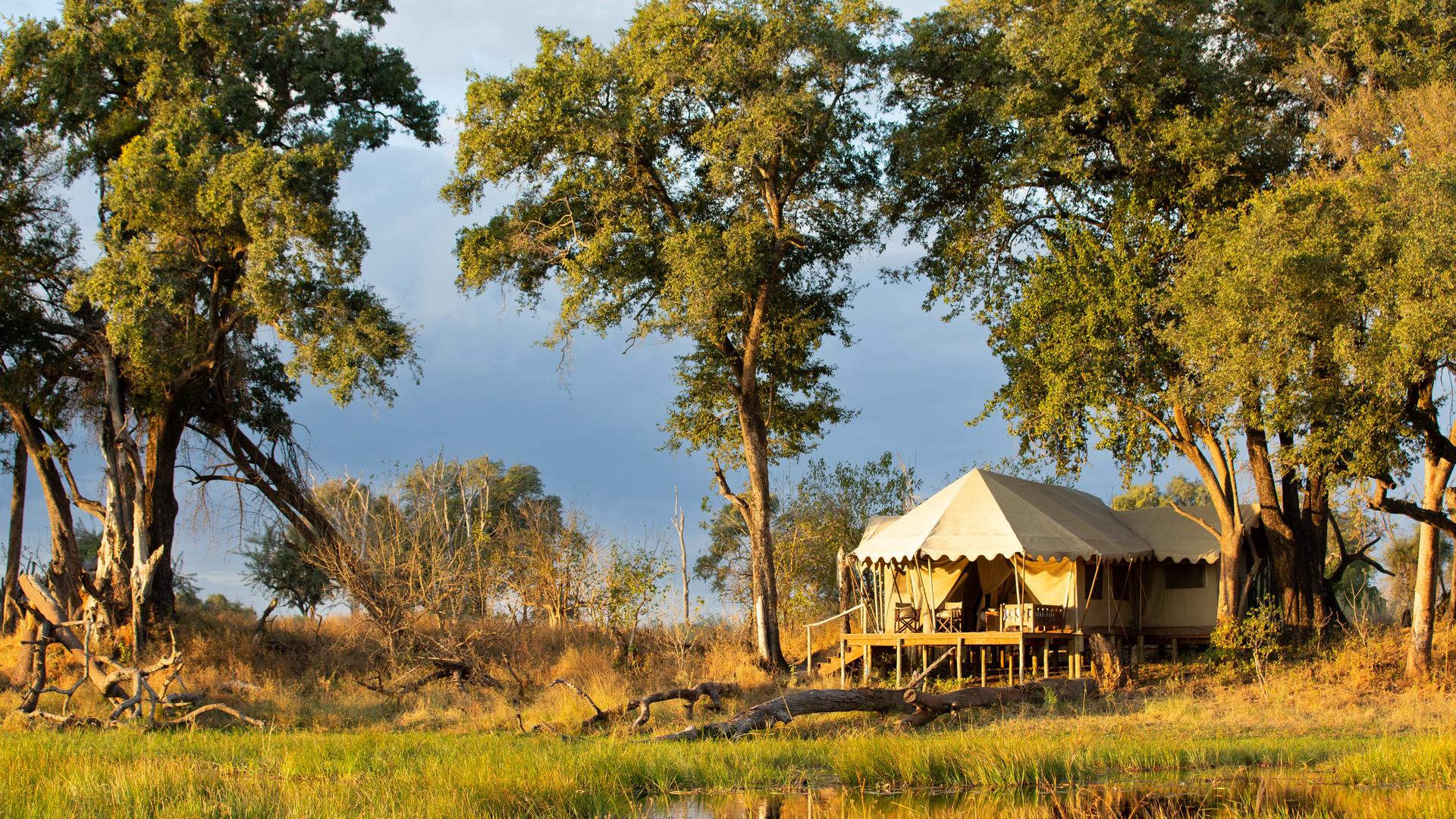 Duba Explorers Camp — Tented Accommodation