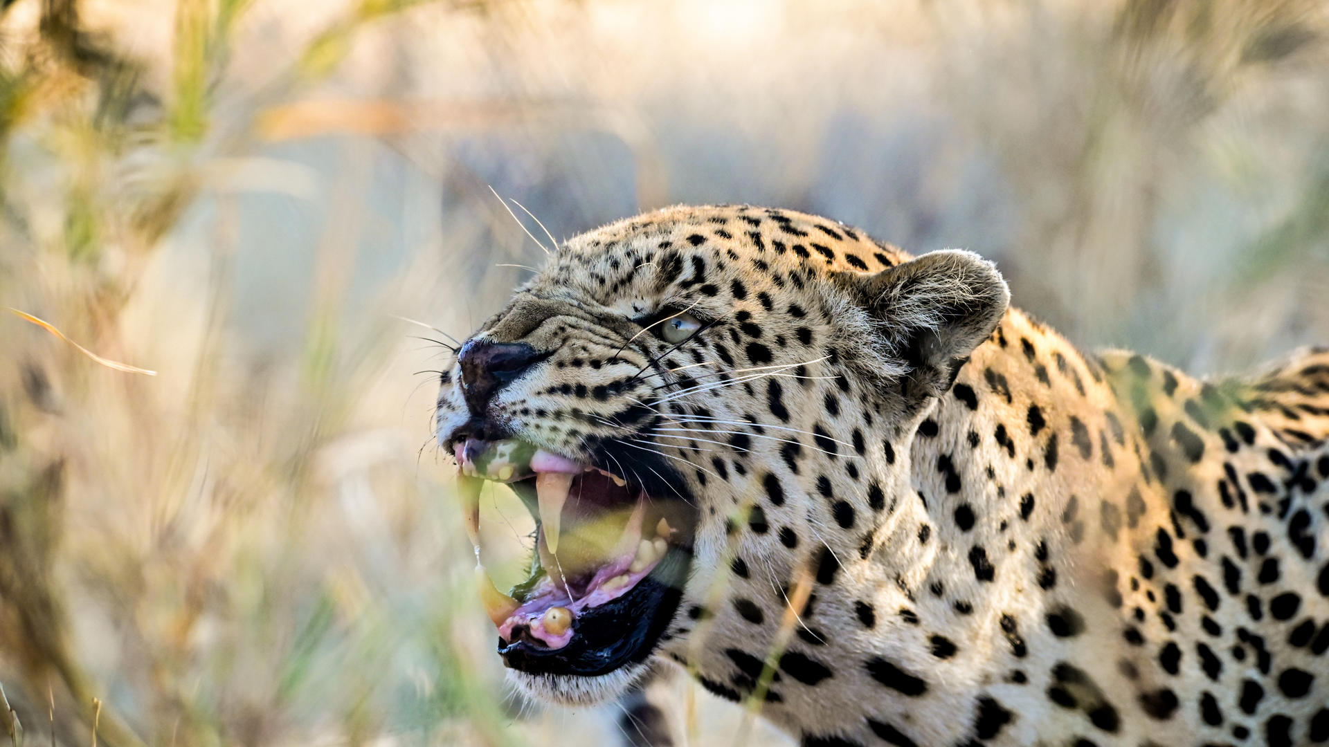 Aloegrove Safari Lodge