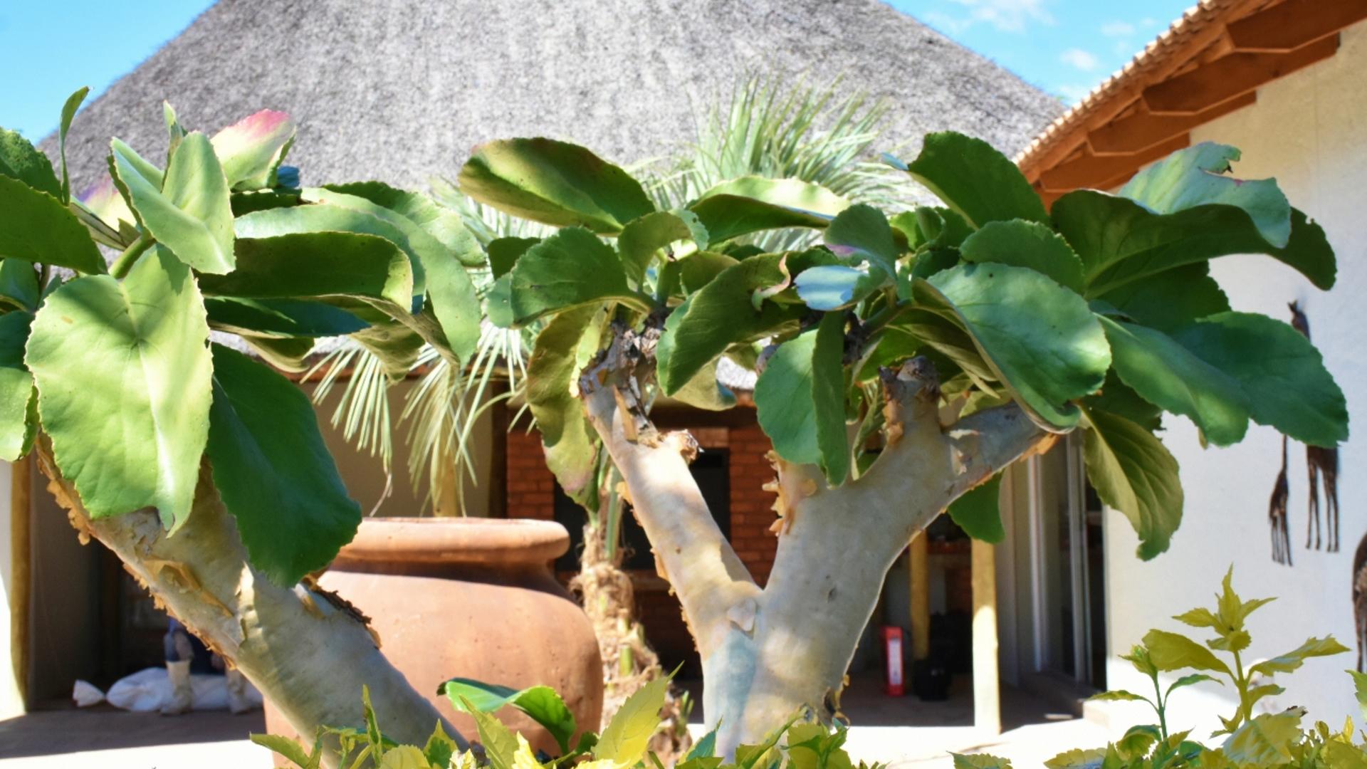 KaMaKu Guesthouse