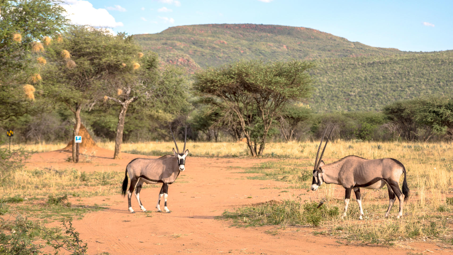 Okonjima African Villa — view 6