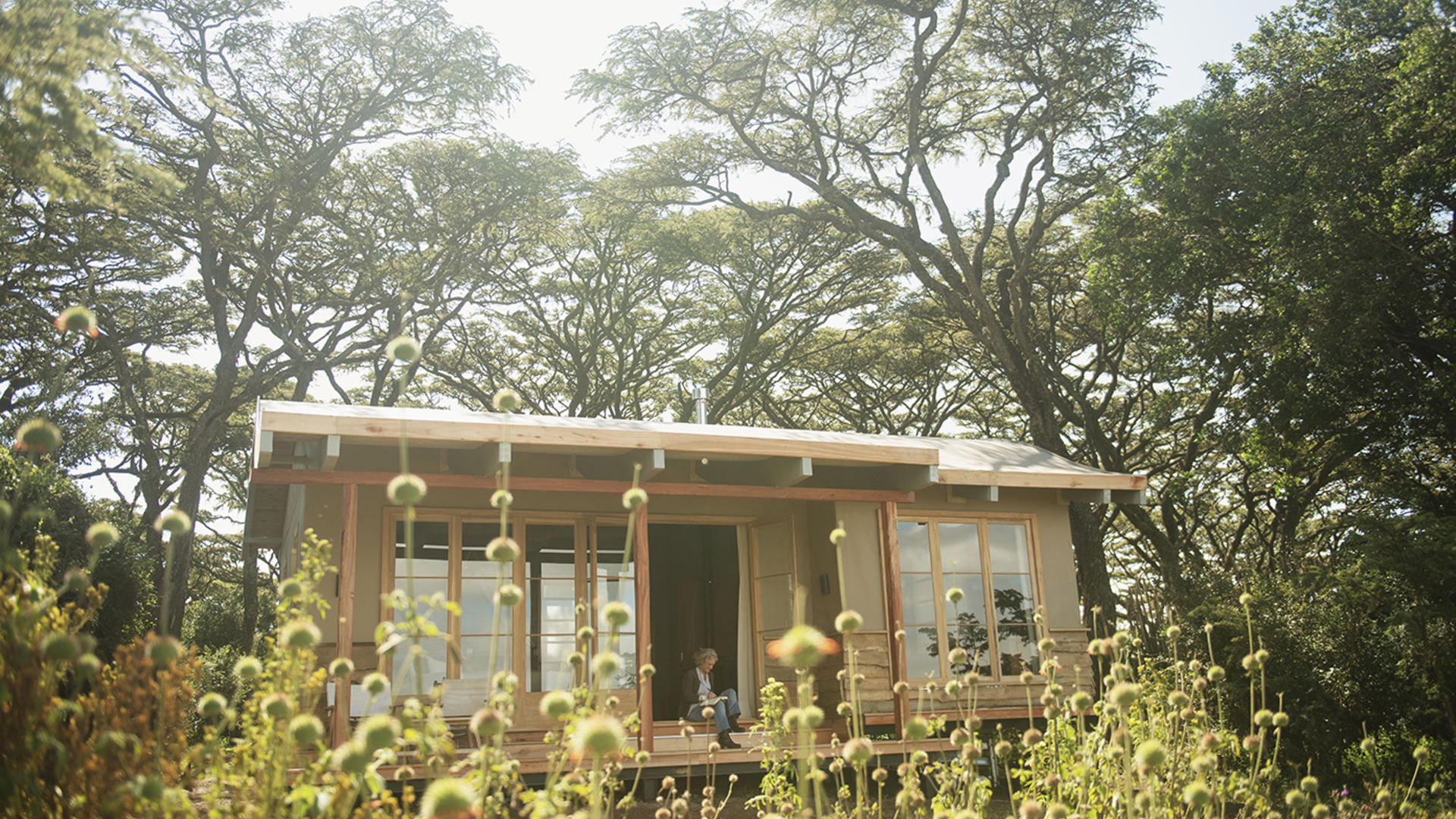 Entamanu Ngorongoro