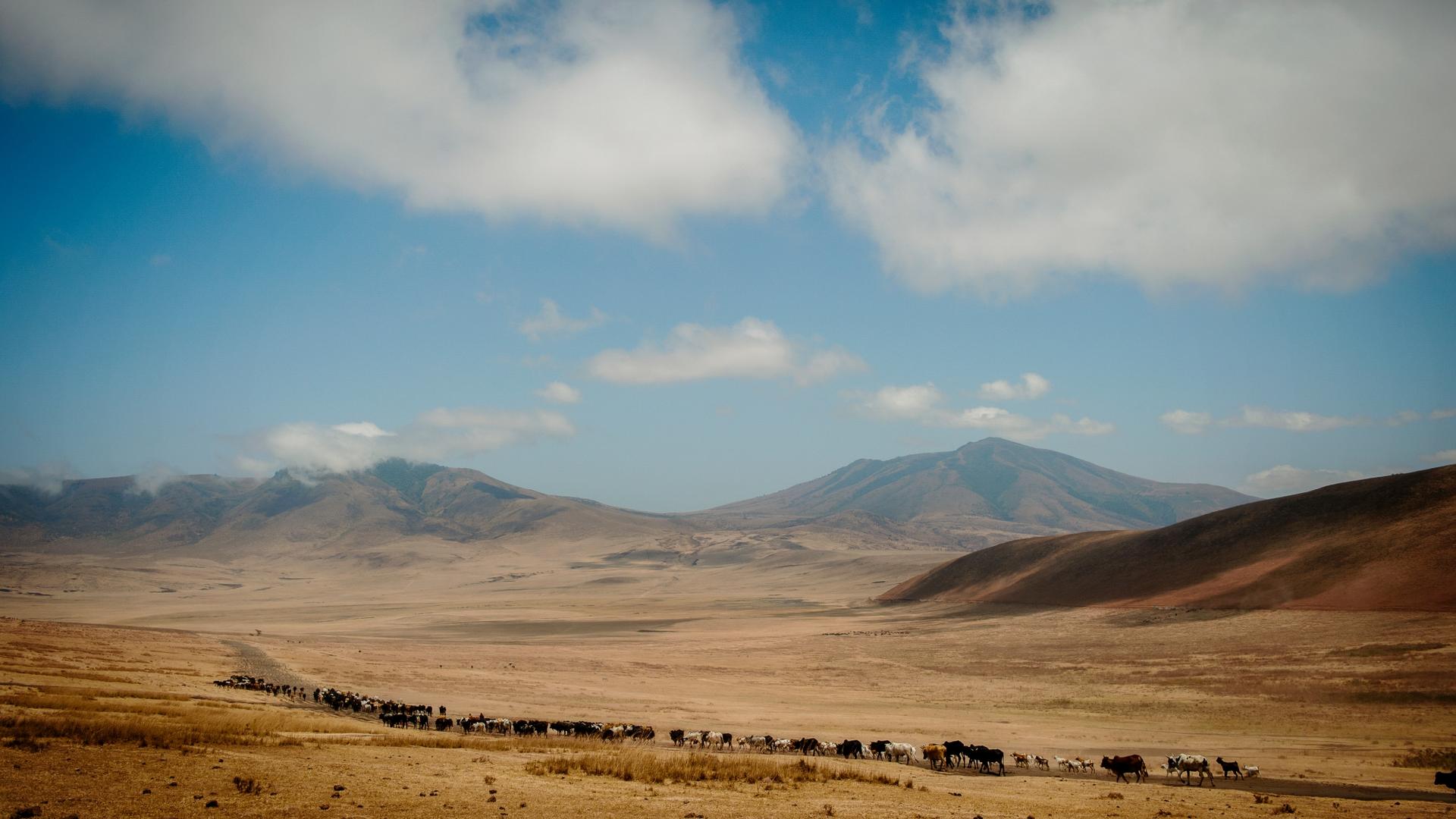 Entamanu Ngorongoro