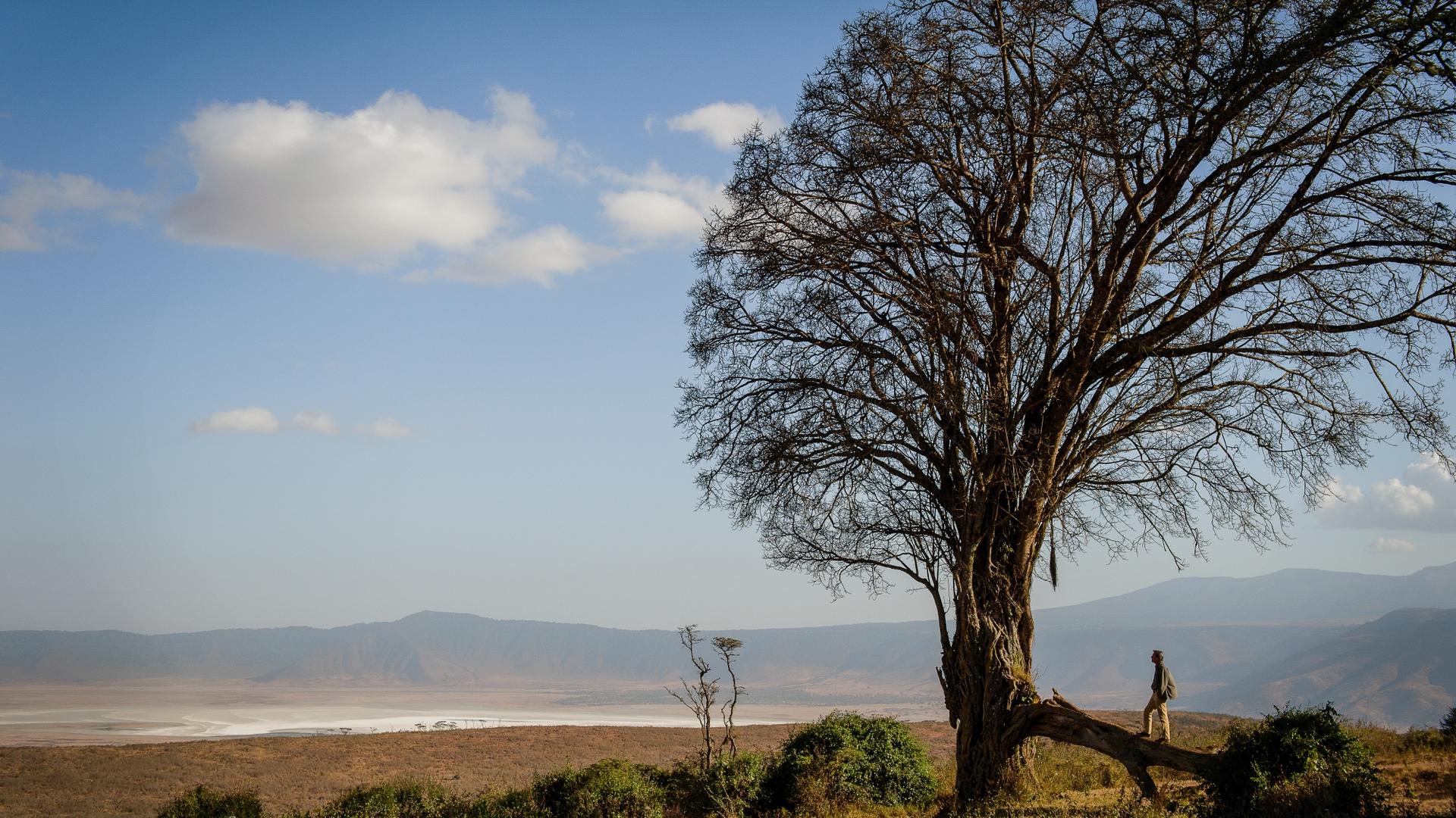 Entamanu Ngorongoro
