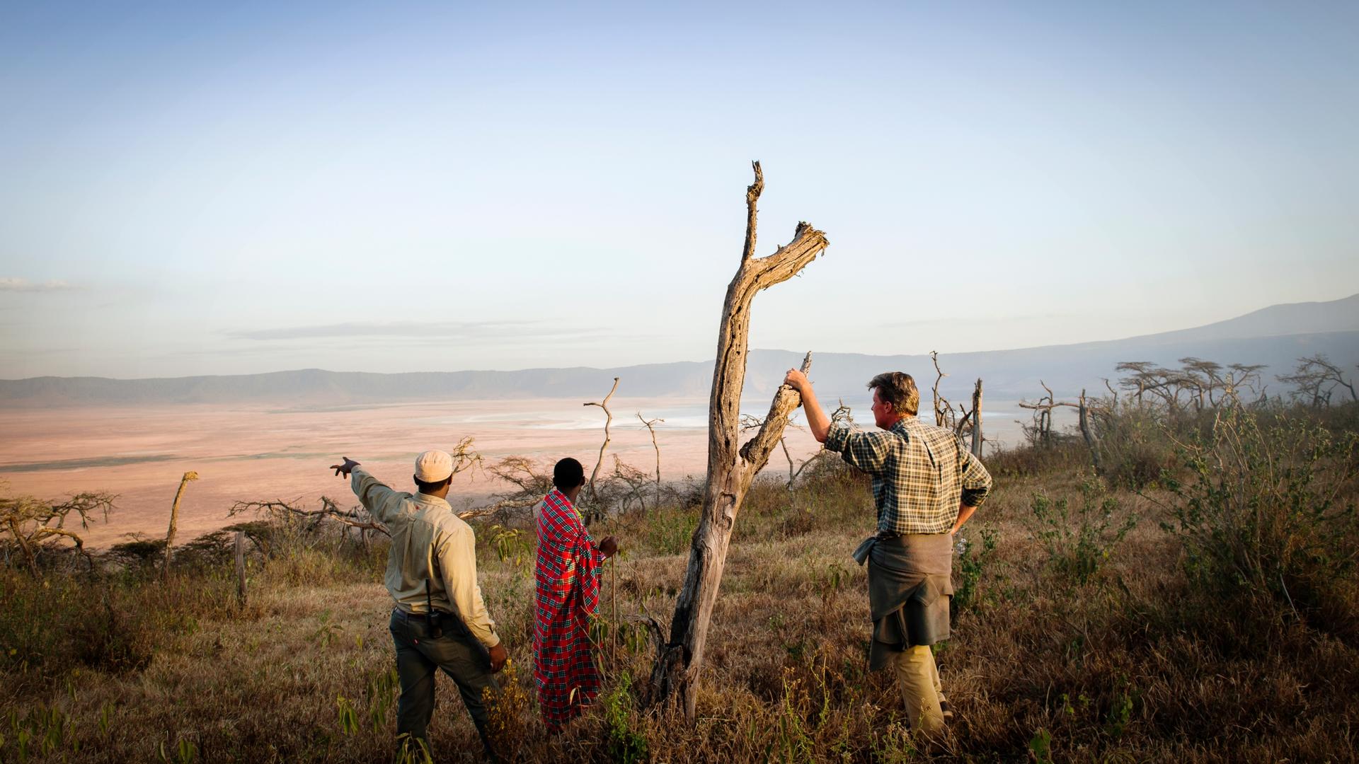 Entamanu Ngorongoro