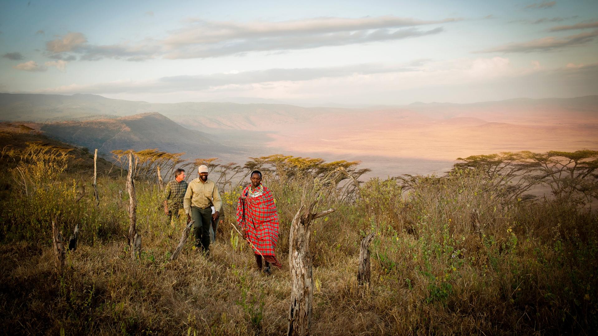 Entamanu Ngorongoro