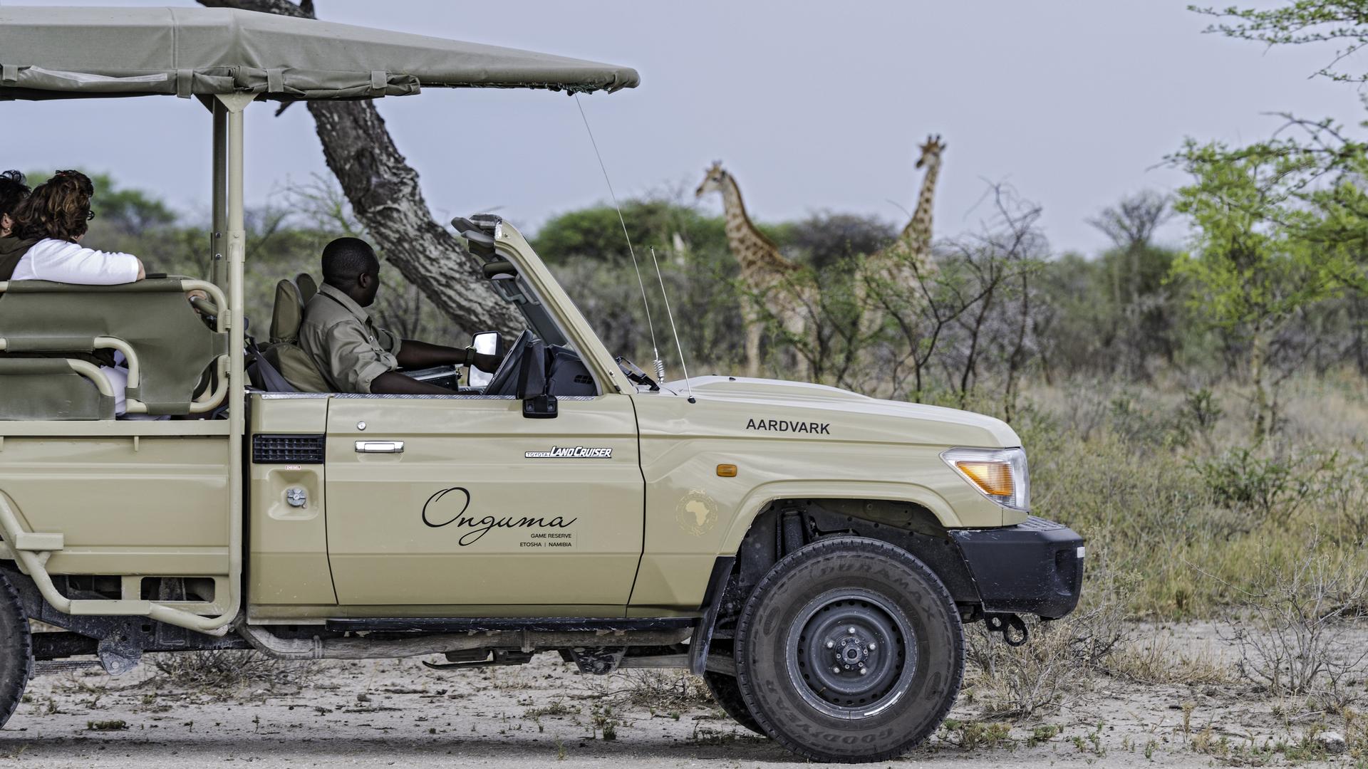 Onguma Trails Camp