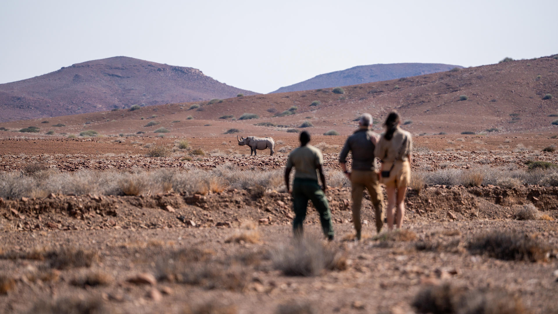 Wilderness Desert Rhino Camp