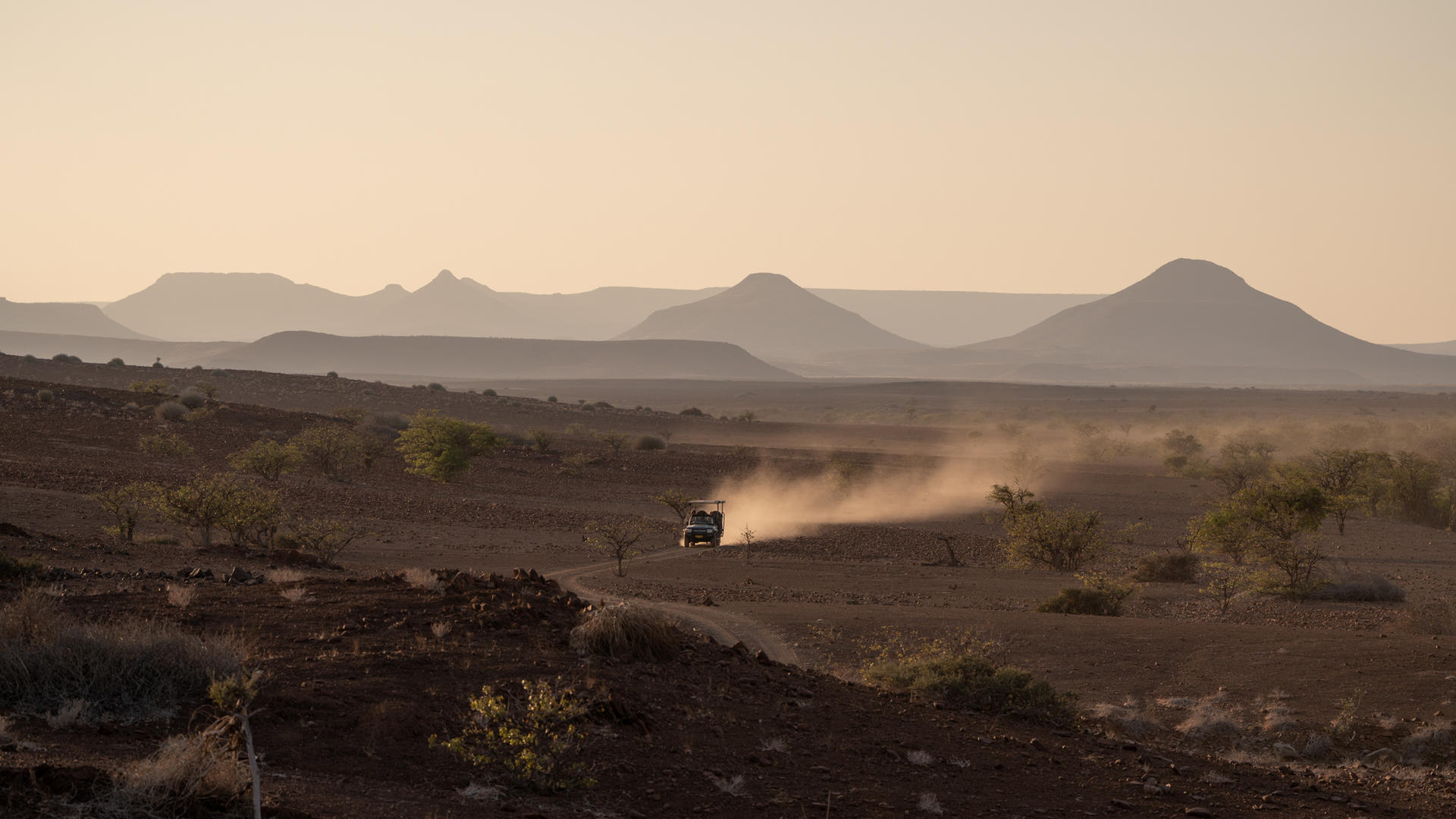 Wilderness Desert Rhino Camp