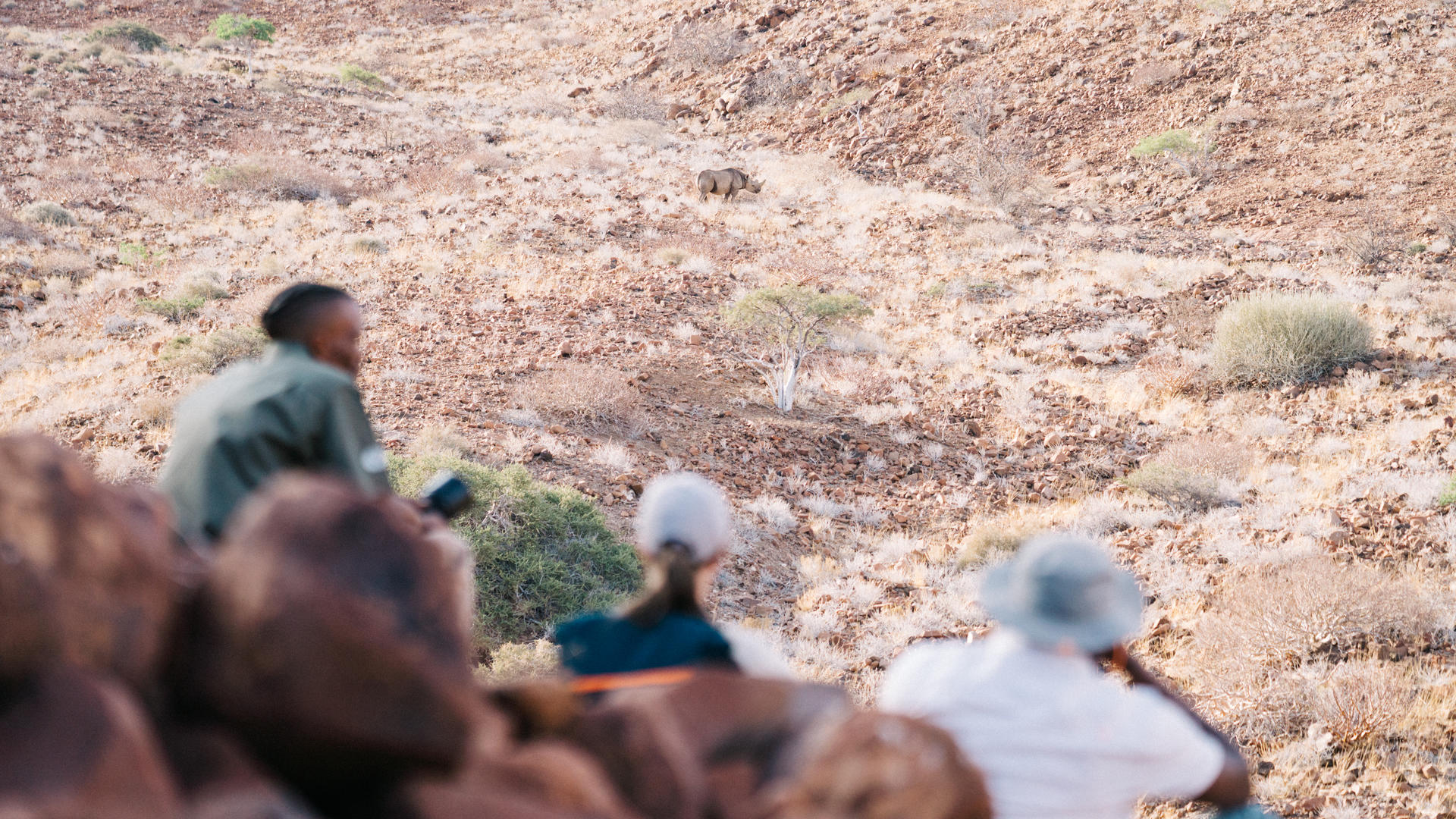 Wilderness Desert Rhino Camp