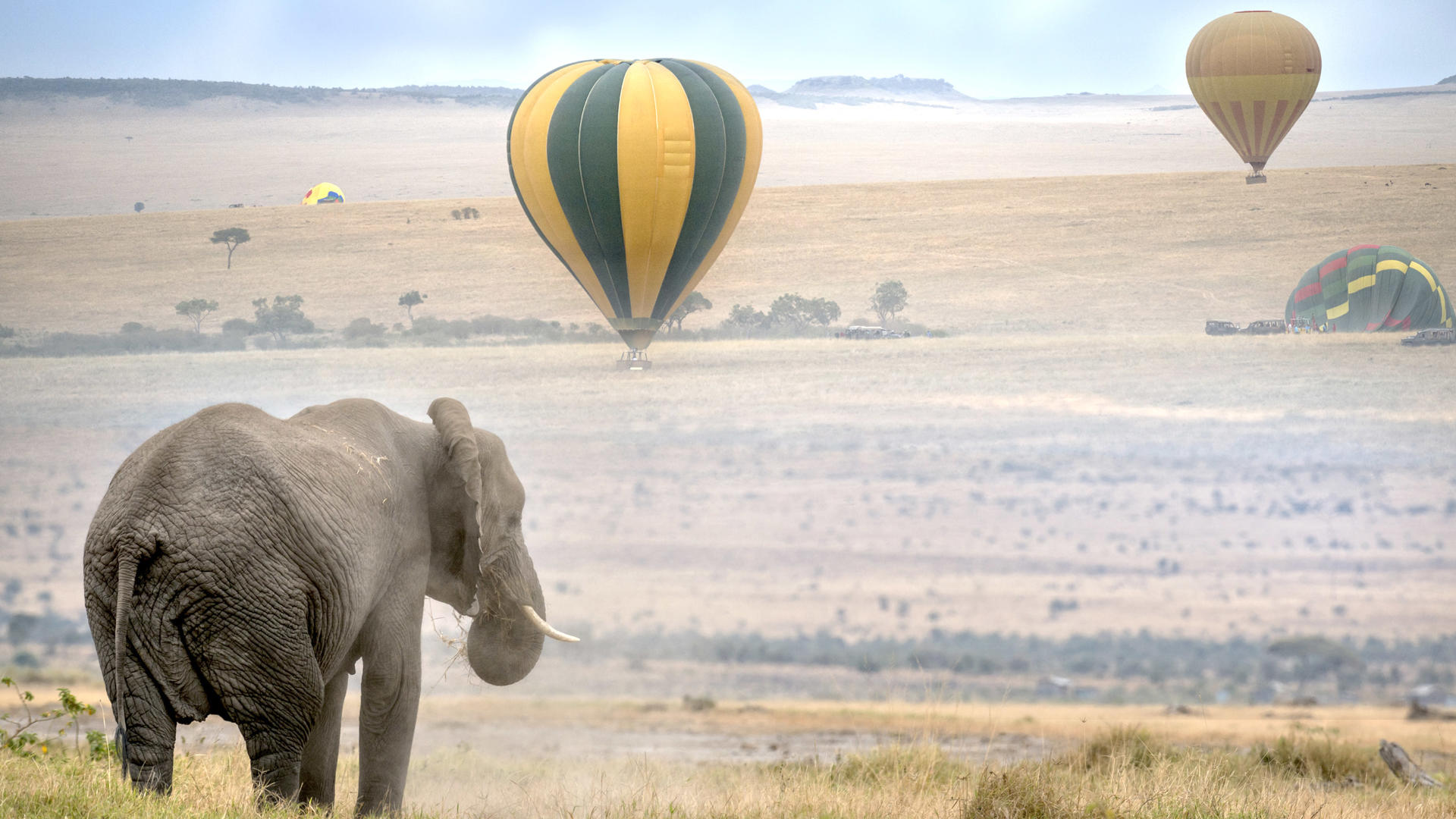 Masai Mara National Reserve