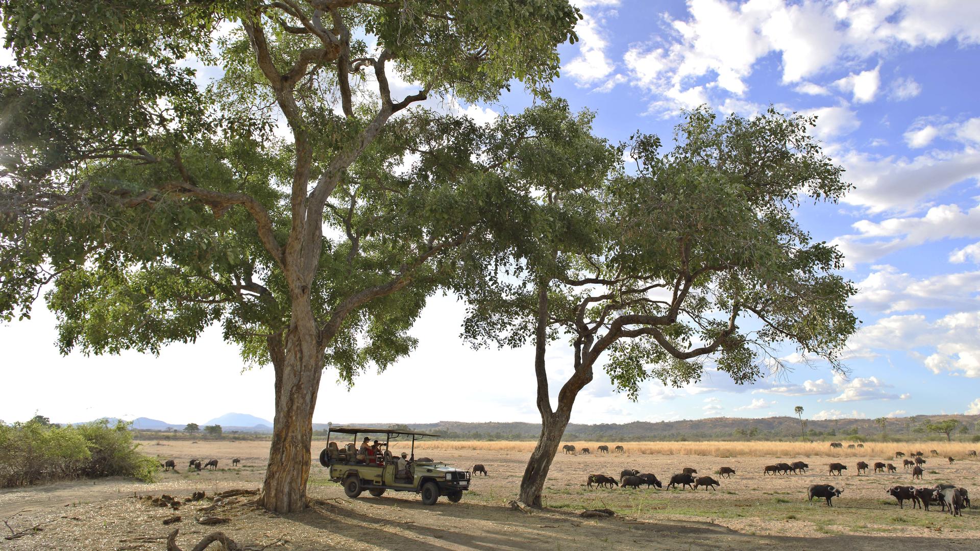 Jabali Ridge