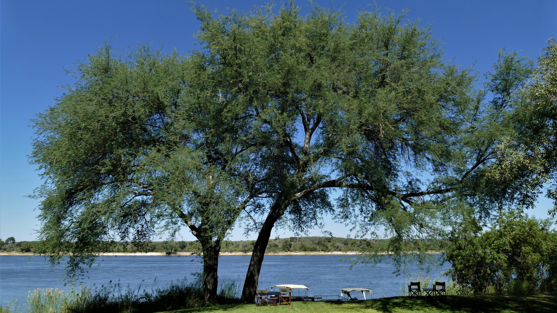 Waterberry Zambezi Lodge