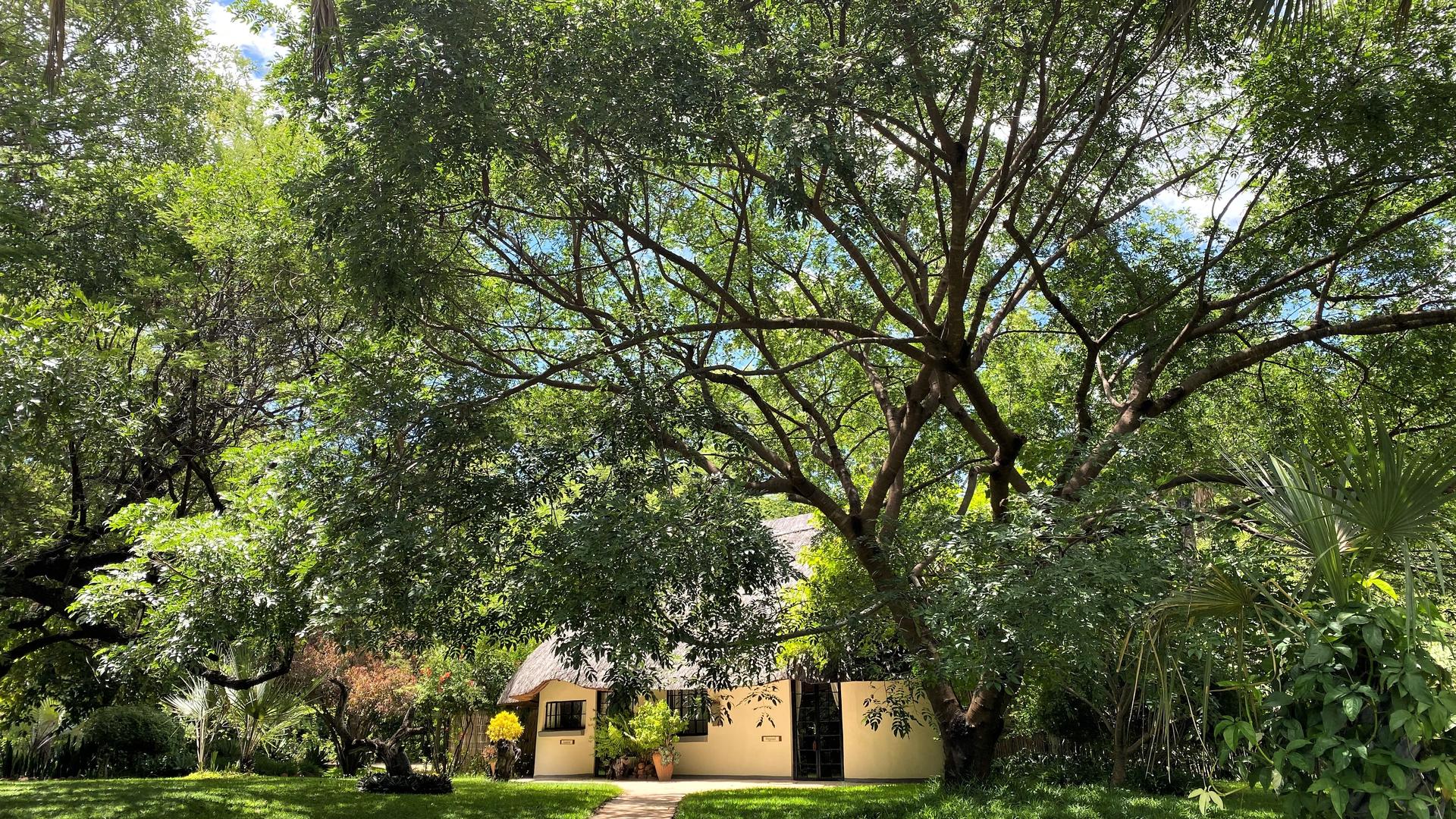 Waterberry Zambezi Lodge
