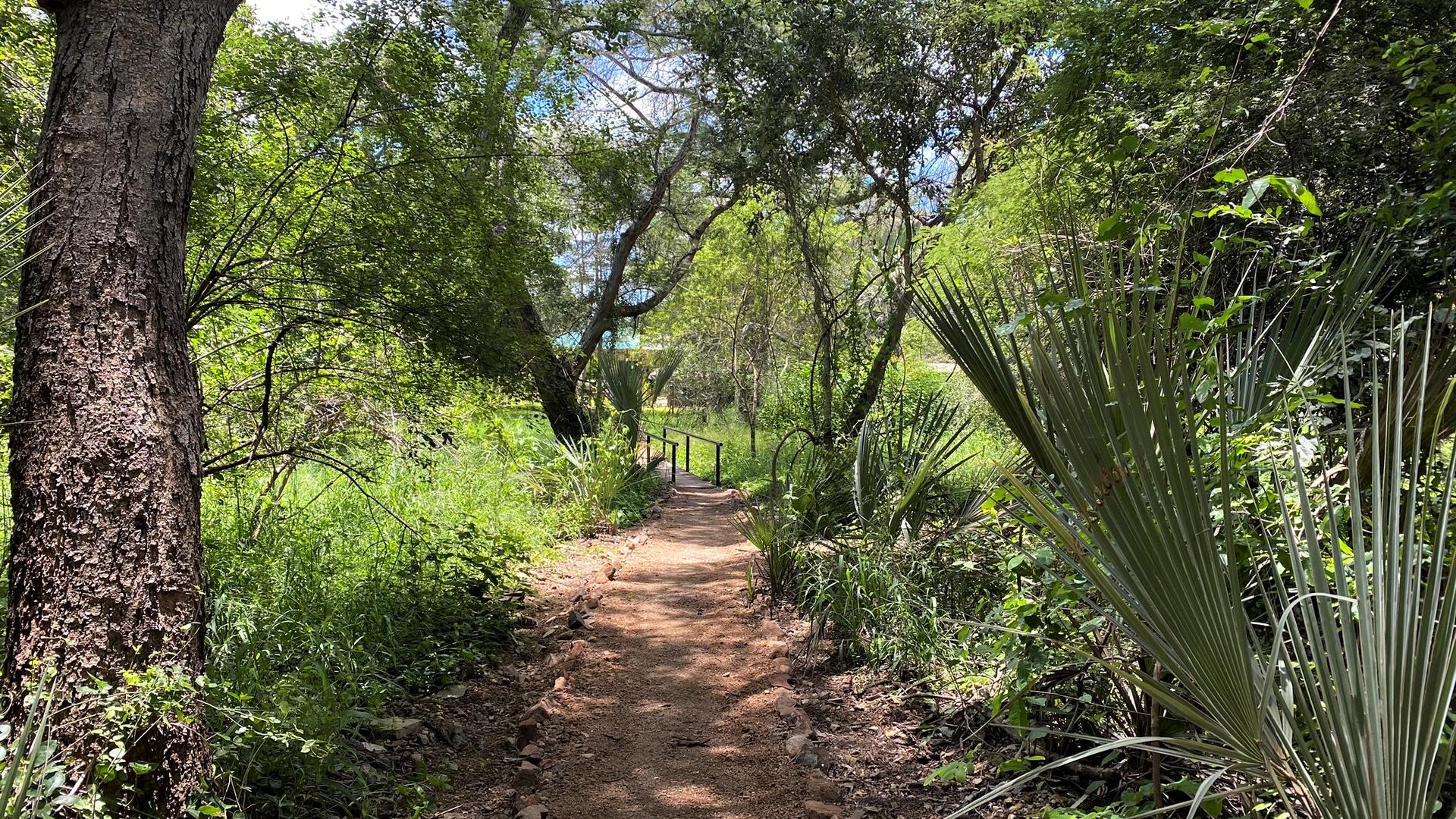 Waterberry Zambezi Lodge — The Woodlands at Waterberry - Forest Tents