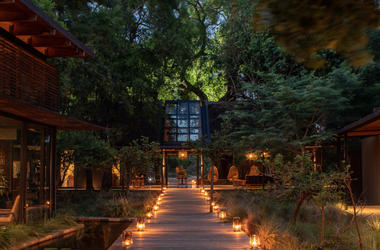 South Africa - 4-day Sabi Sand Safari with Lion Sands River Lodge - Private accommodated