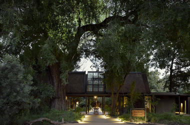 South Africa - 4-day Sabi Sand Safari with Lion Sands River Lodge - Tailored Driven