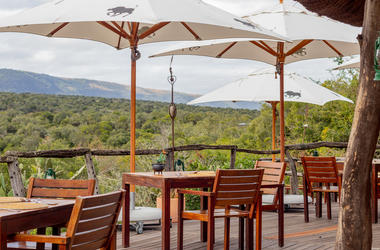 South Africa - 3-day Eastern Cape Safari with Pumba Bush Lodge - Tailored Driven