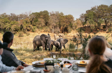 South Africa - 9-day Greater Kruger Simbavati Big Five Safari - Private accommodated 