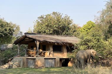 Zambia - 4-day South Luangwa Safari at Track & Trail River Camp- Private accommodated