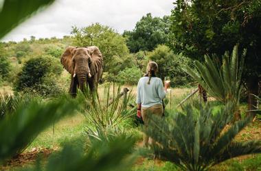 South Africa - 4-day Greater Kruger Safari with Simbavati Camp George - Private accommodated