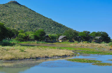 South Africa - 4-Day Madikwe Safari with Tau Game Lodge - Tailored Driven