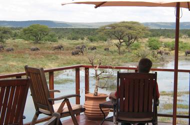 South Africa - 4-Day Madikwe Safari with Tau Game Lodge - Private accommodated