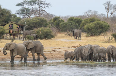 Zimbabwe - 4-day Hwange Safari with Jozibanini - Private accommodated