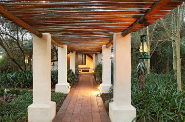 South Africa - 4-day Eastern Cape Safari with Addo Elephant National Park - Tailored Driven