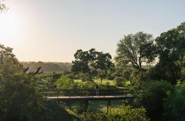 South Africa - 4-Day MalaMala Safari with Sable Camp - Tailored Driven