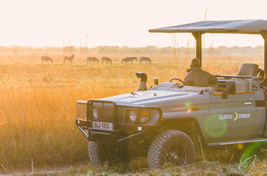 Zambia - 4-day Kafue Safari at Ntemwa-Busanga Camp - Private accommodated