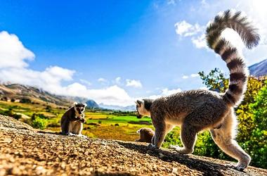 Madagascar - 12-day Classic Route N7 - Group Accommodated