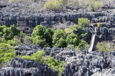 Madagascar - 10-day Lemurs, Tsingy & Beach - Tailored Driven