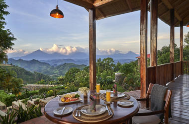 Uganda - 4-day Gorilla Safari with Nkuringo Lodge - Tailored Driven