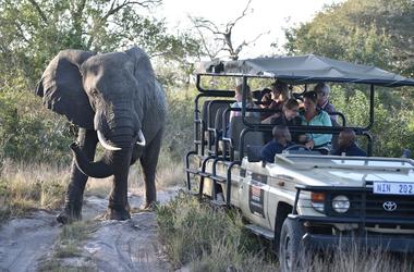 South Africa - 4-day Kwazulu Natal Safari with Tembe Elephant Park - Private self-drive 