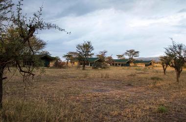 Tanzania - 4-day Serengeti Safari with Nasikia Migration Camp - Private fly-in