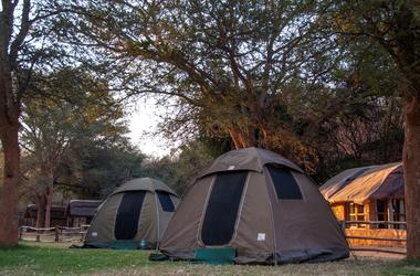 Tanzania – 7-day On the Wild Side Safari - Group Camping